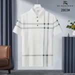 2026年5月19日入荷新作Burberry半袖 ポロ/シャツ人気/誕生日プレゼント/kd工場