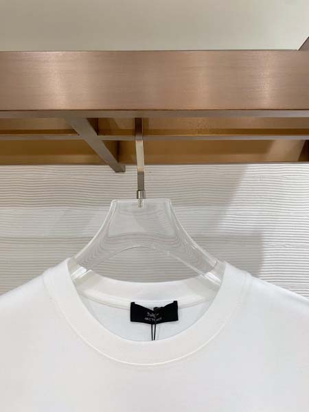 2026年6月2日入荷春夏新作ARCTERYX半袖Tシャツ高品質DH工場