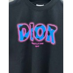 2026年6月2日入荷春夏新作Dior半袖Tシャツ高品質DH工場
