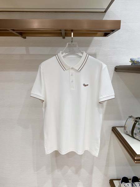2026年6月4日入荷春夏新作Zegna半袖Tシャツ高品質D...
